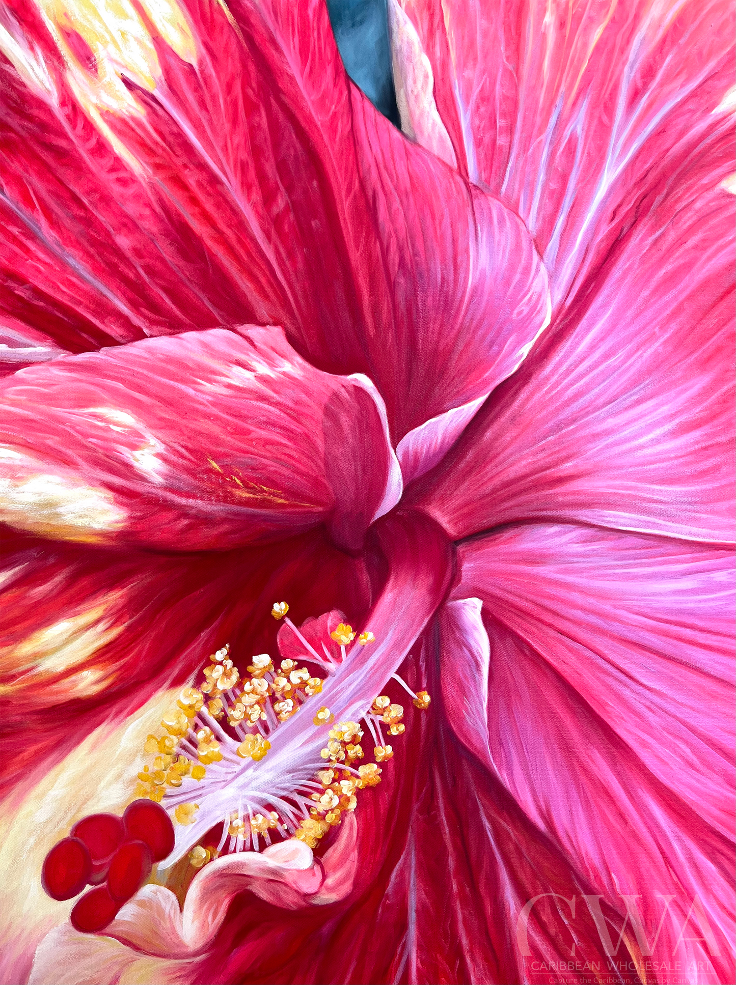 Hibiscus Hues